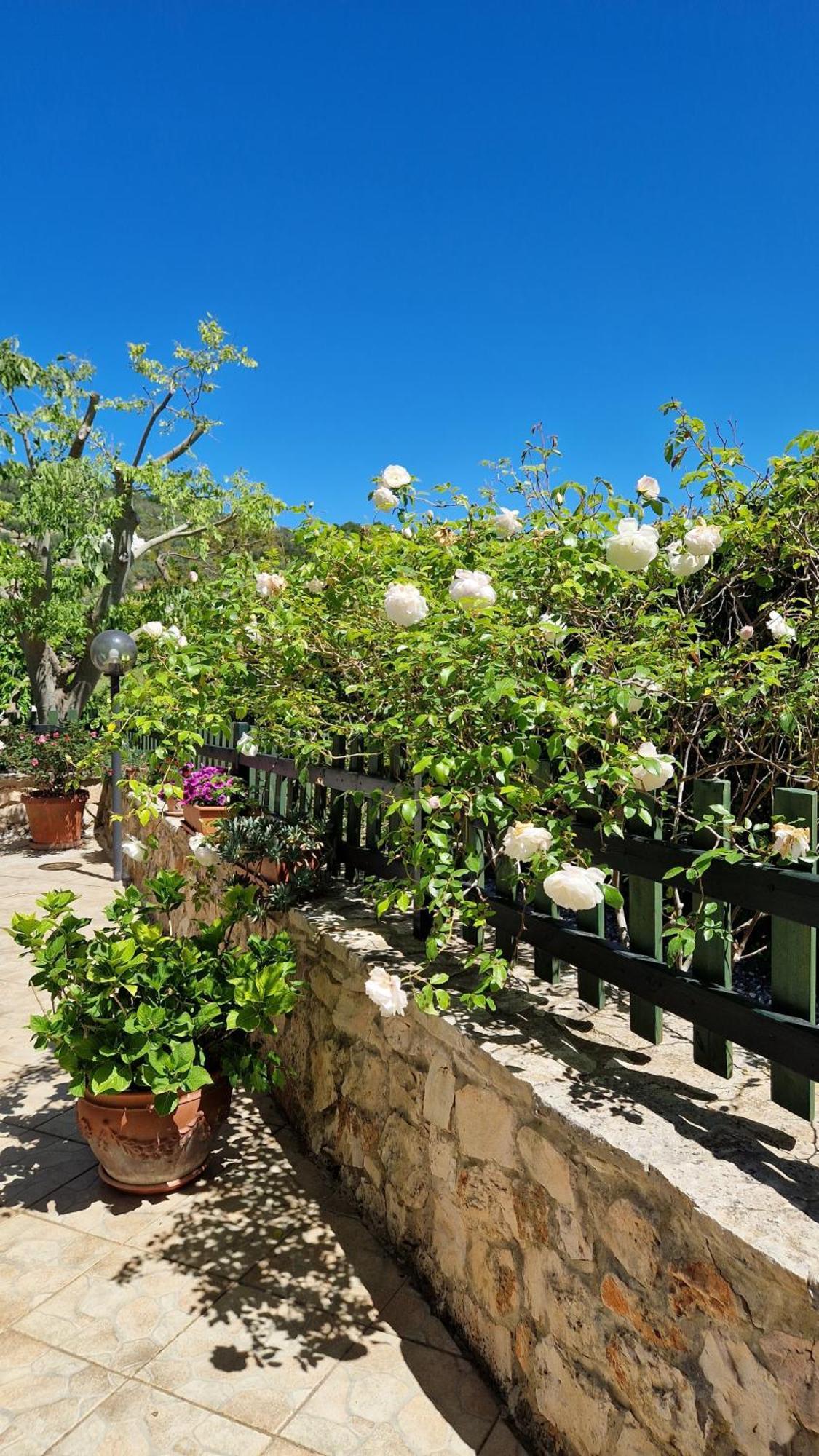 Trullo Grande Noce Villa Ostuni Kültér fotó